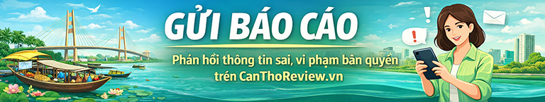 Gửi báo cáo phản hồi