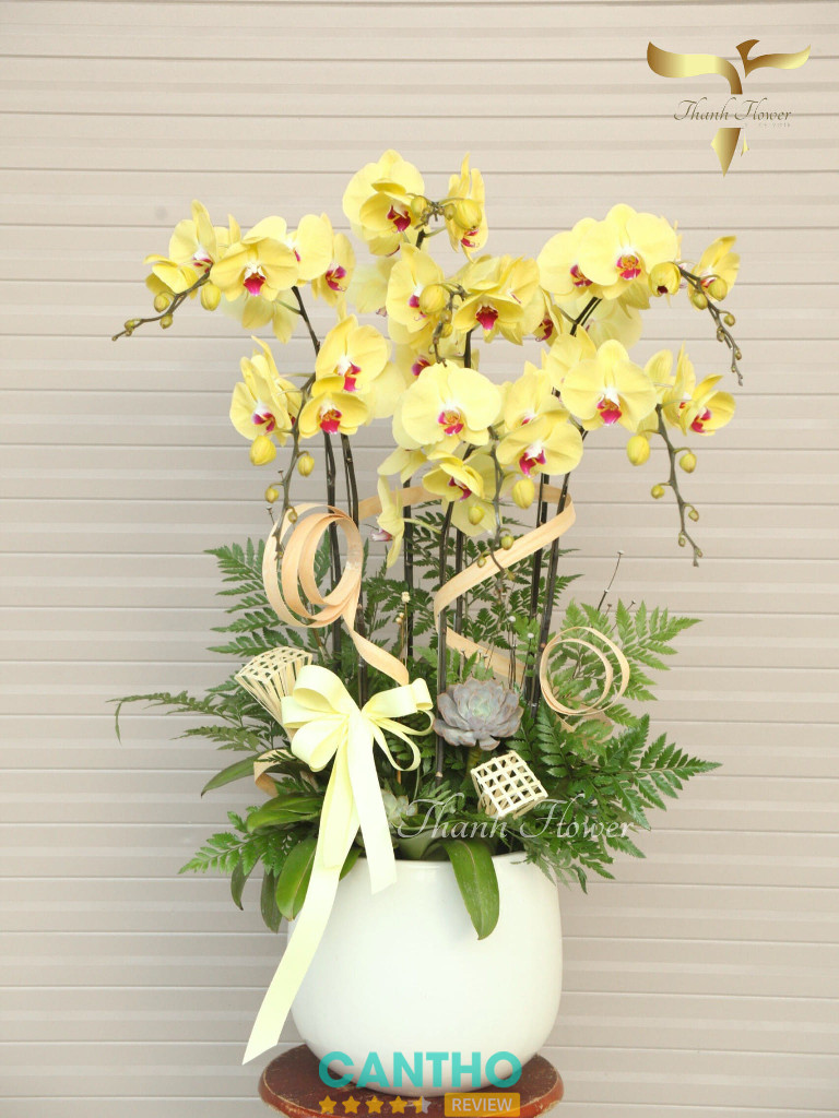 Dịch vụ đặt hoa chúc mừng khai trương tại Cần Thơ từ Thanh Flower