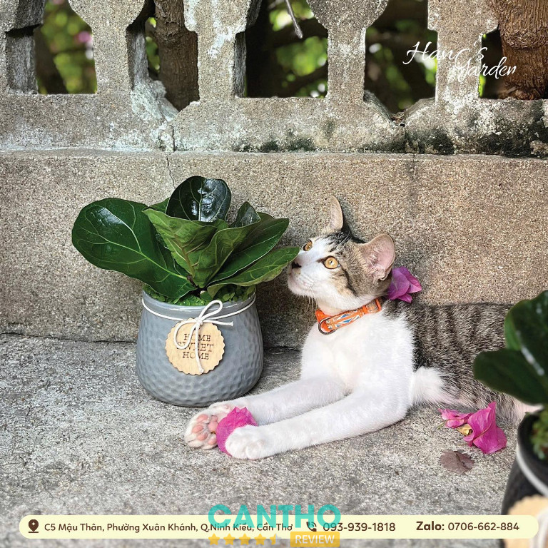 Hang’s Garden là vựa cây cảnh hiện đại tại Cần Thơ