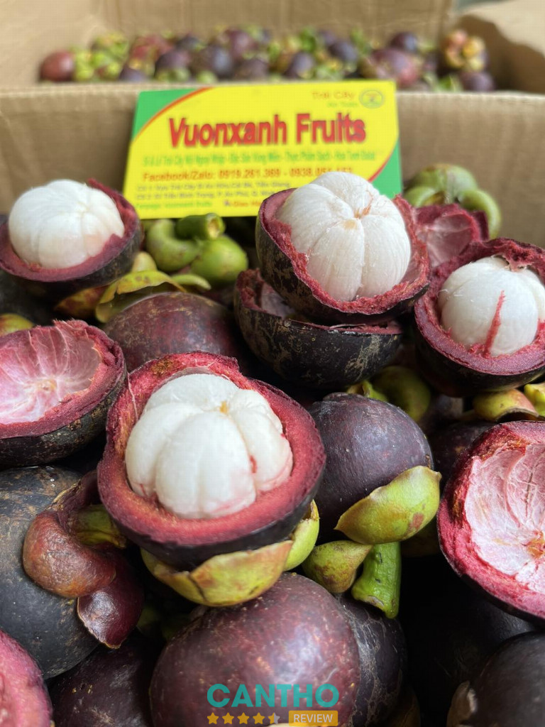 Vườn Xanh Fruit