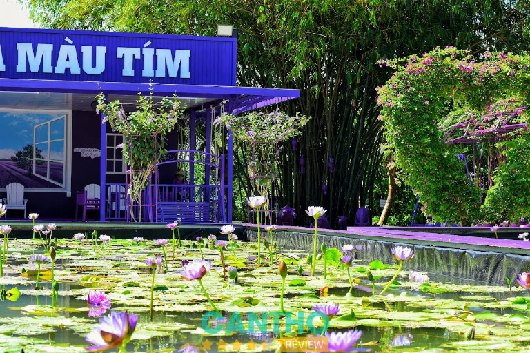 Khám phá cảnh quan ở Căn nhà màu tím đậm chất miền tây