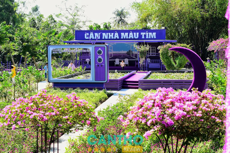 Khám phá địa điểm Căn nhà màu tím ở Miền Tây