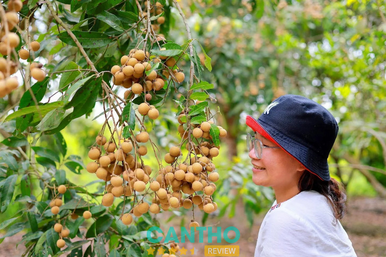 Vườn trái cây nổi tiếng Cần Thơ - Lung Tràm