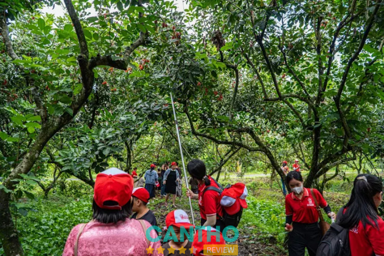Vườn trái cây Mỹ Khánh Cần Thơ