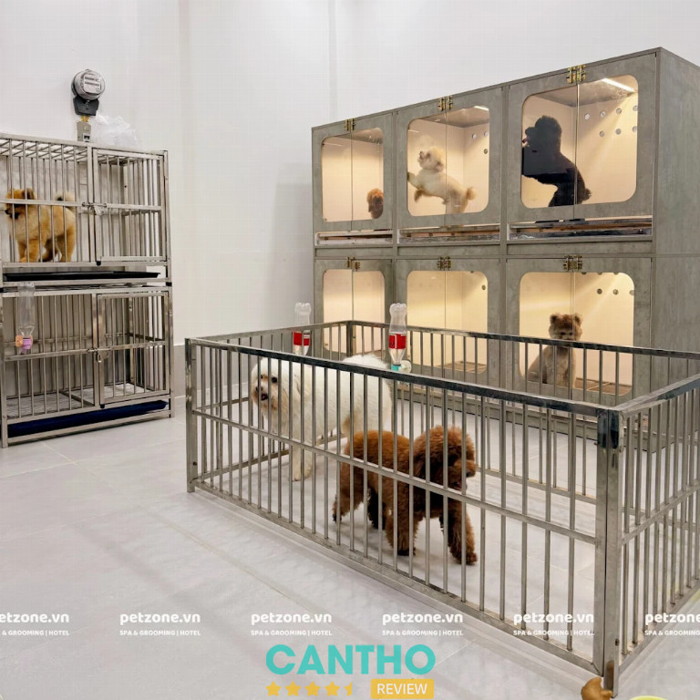 Pet Shop Cần Thơ - Pet Zone