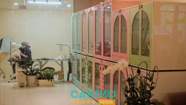 Pet Shop ở Cần Thơ - Royal Paw Palace