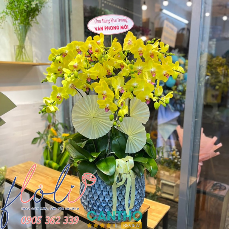 shop hoa lan hồ điệp khai trương ở Sóc Trăng