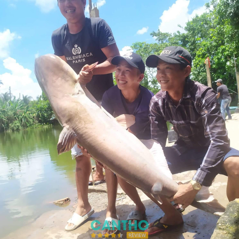 Hồ câu cá Quốc Mập ở Cần Thơ