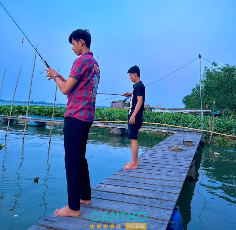 Bè Câu Cá Trung Mai Cần Thơ
