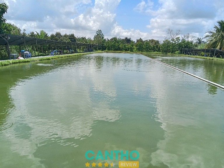 Hồ câu cá giải trí Song Dương ở Cần Thơ