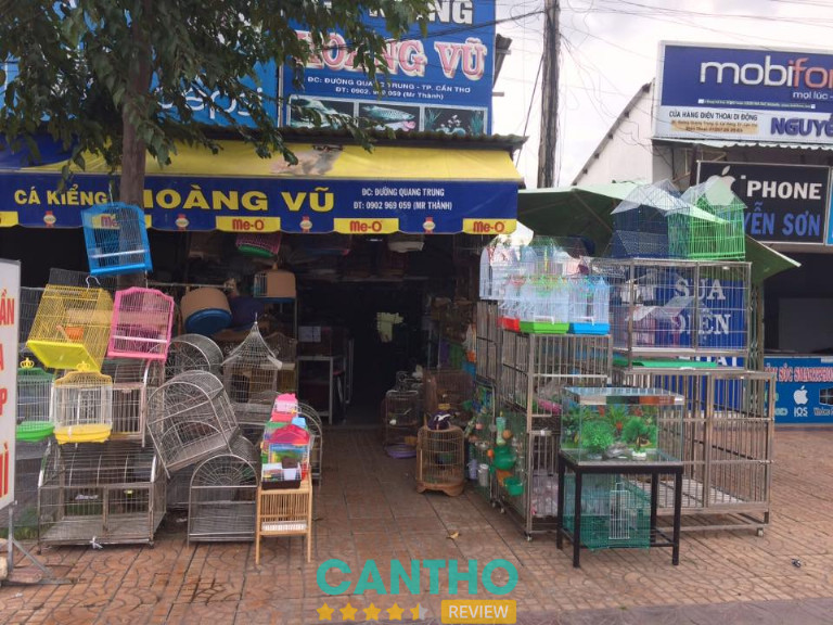 Tiệm cá cảnh ở Cần Thơ Hoàng Vũ