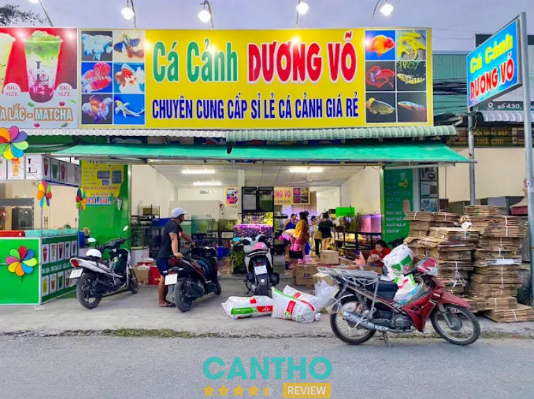 Tiệm cá cảnh Cần Thơ
