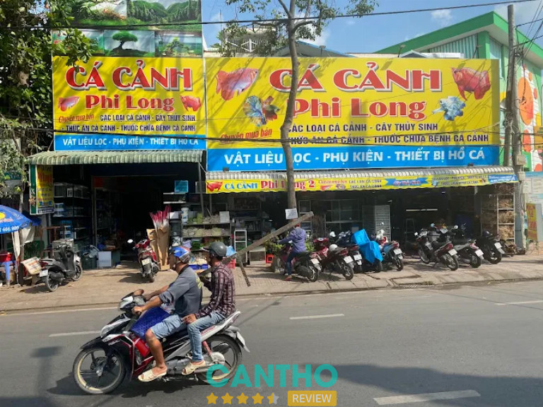 Tiệm Cá Cảnh Phi Long ở Cần Thơ
