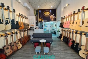 Bài đánh giá về Guitar Nova, Cần Thơ