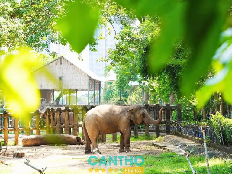 Thảo cầm viên là điểm vui chơi hấp dẫn quanh Sài Gòn